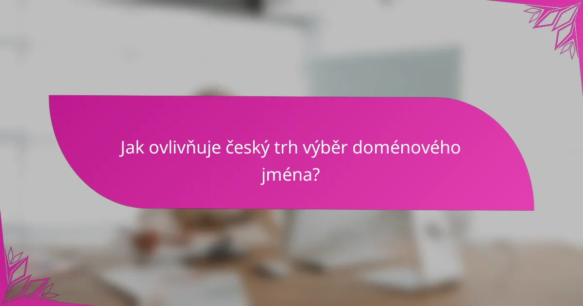 Jak ovlivňuje český trh výběr doménového jména?