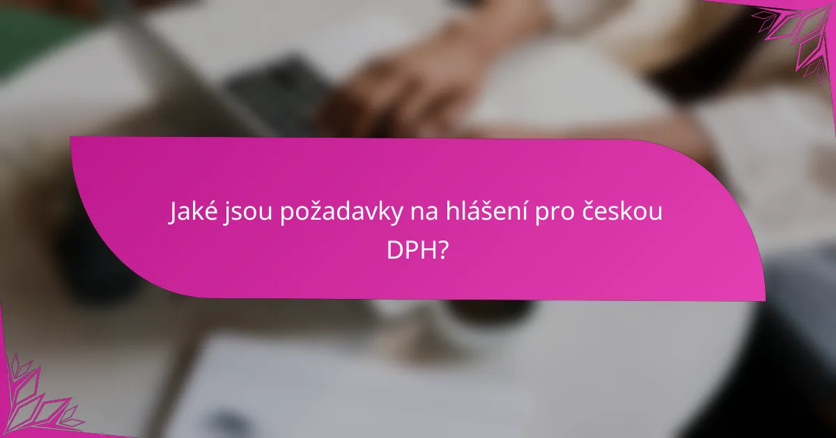 Jaké jsou požadavky na hlášení pro českou DPH?